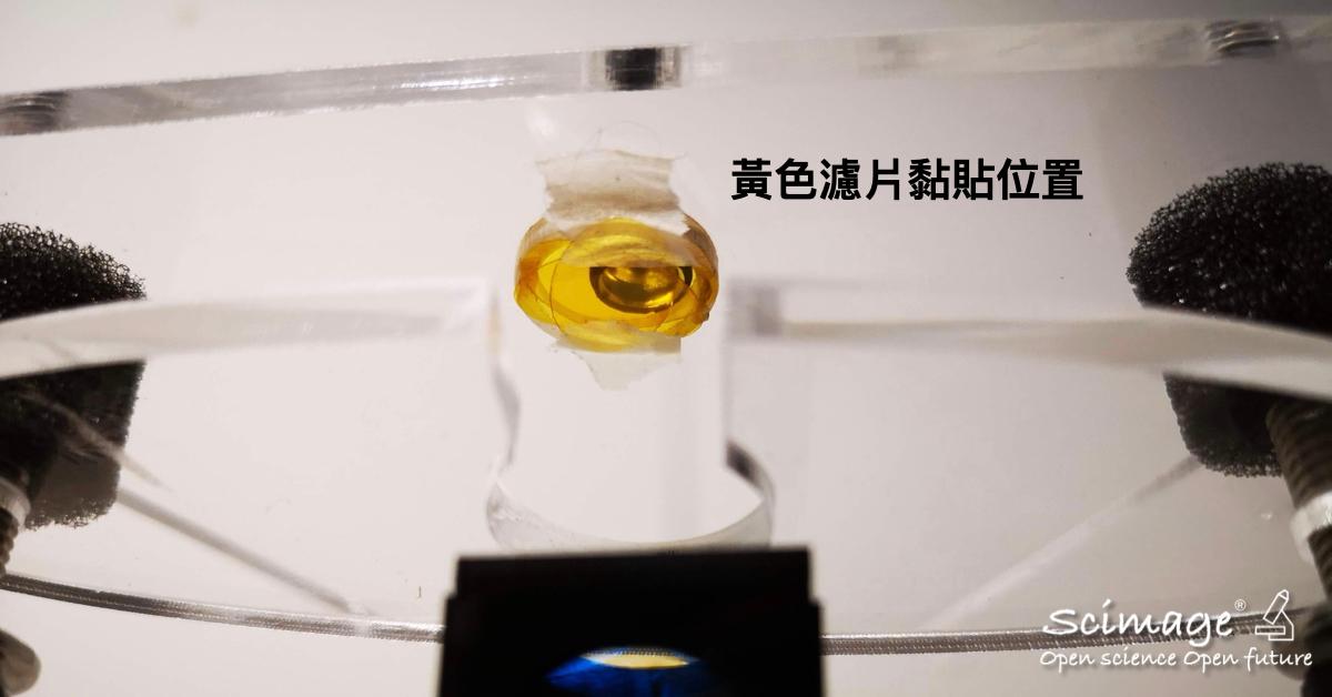 段落圖片