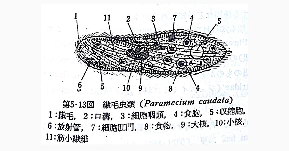 段落圖片